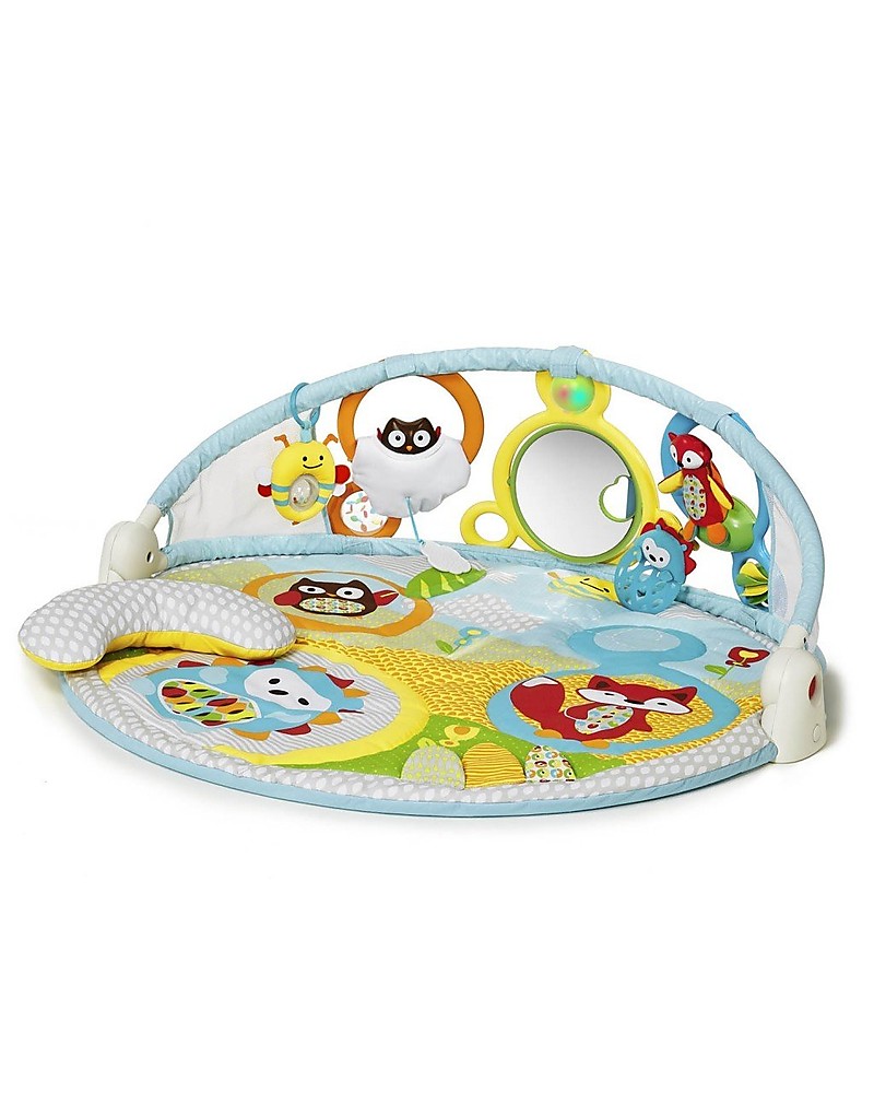 skip hop explore & more babygym